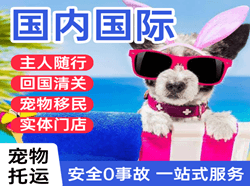 奇台江布拉克机场货运国际宠物托运 【国